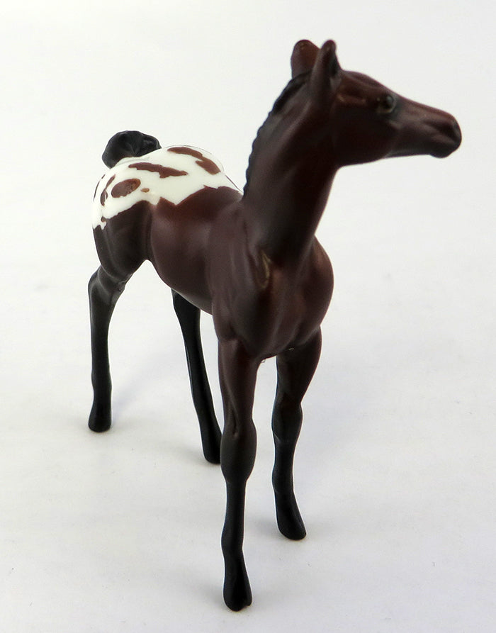 SPOTTED CHOCOLATE- BAY APPALOOSA  FOAL CHIP MODEL HORSE 10/12/16