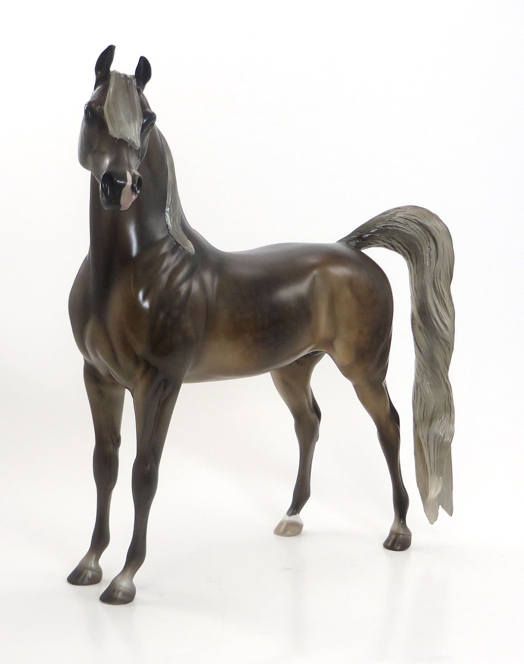 CAPOTE PEAK - LE5 EQ 2015 Chestnut Flaxen Mane &amp; Tail  Arabian 7/23