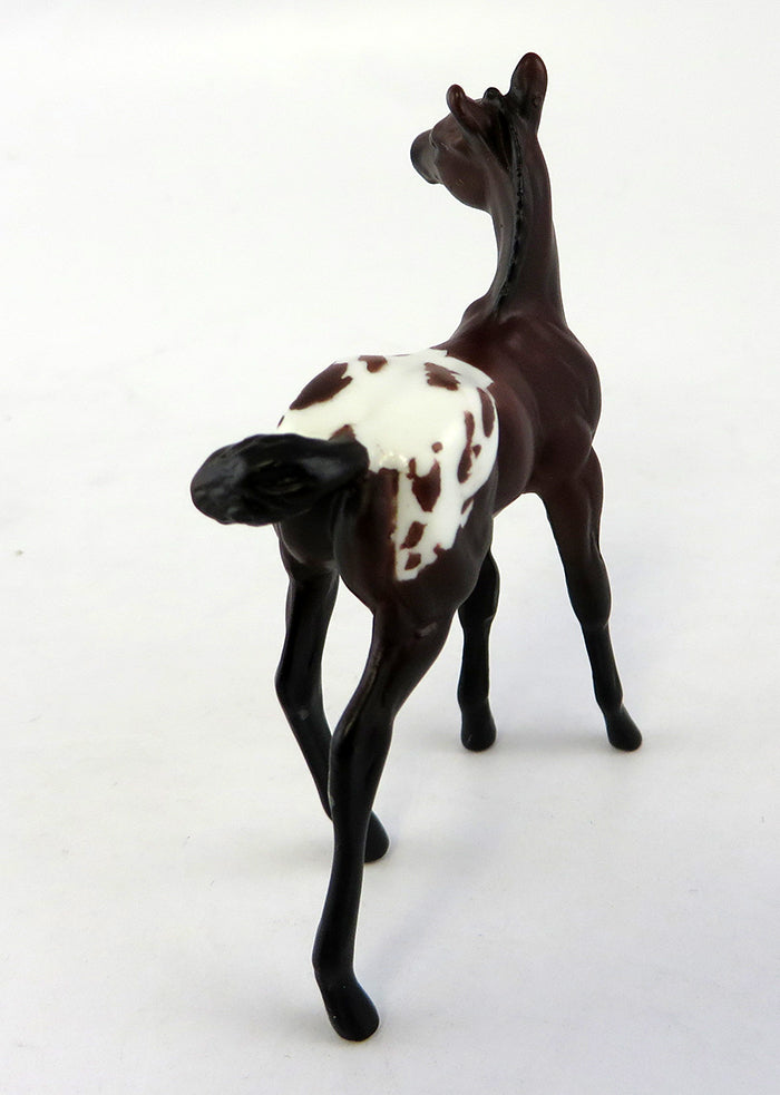 SPOTTED CHOCOLATE- BAY APPALOOSA  FOAL CHIP MODEL HORSE 10/12/16