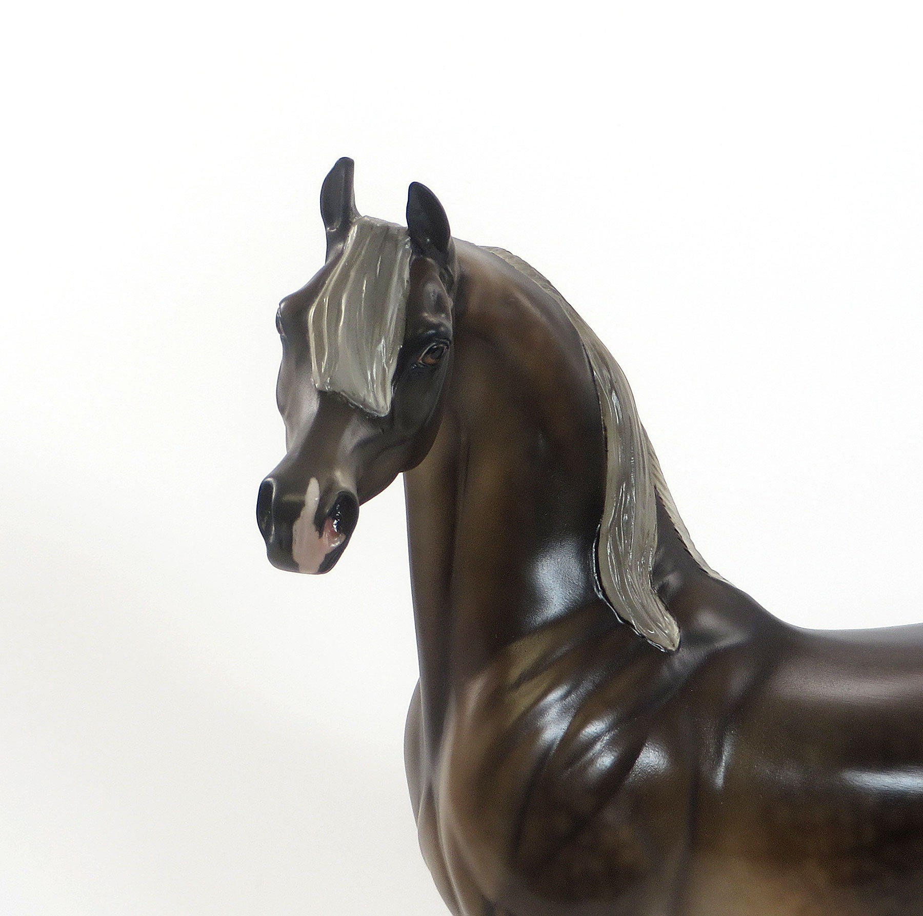 CAPOTE PEAK - LE5 EQ 2015 Chestnut Flaxen Mane &amp; Tail  Arabian 7/23