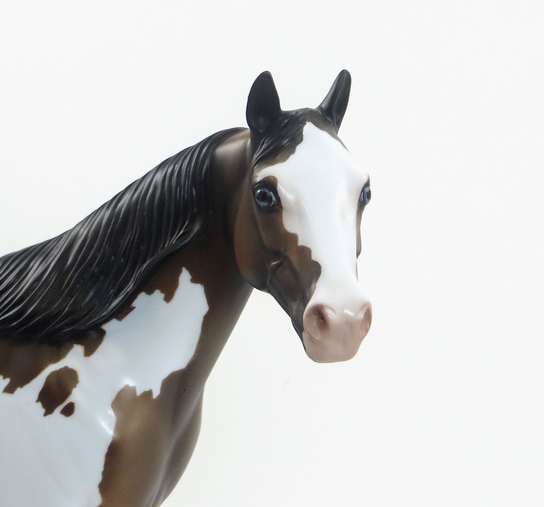 TIMBER - Sooty Buckskin Overo Paint Stock Model Horse - EQ 2015 - LE14 - 7/23