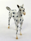 Foal
