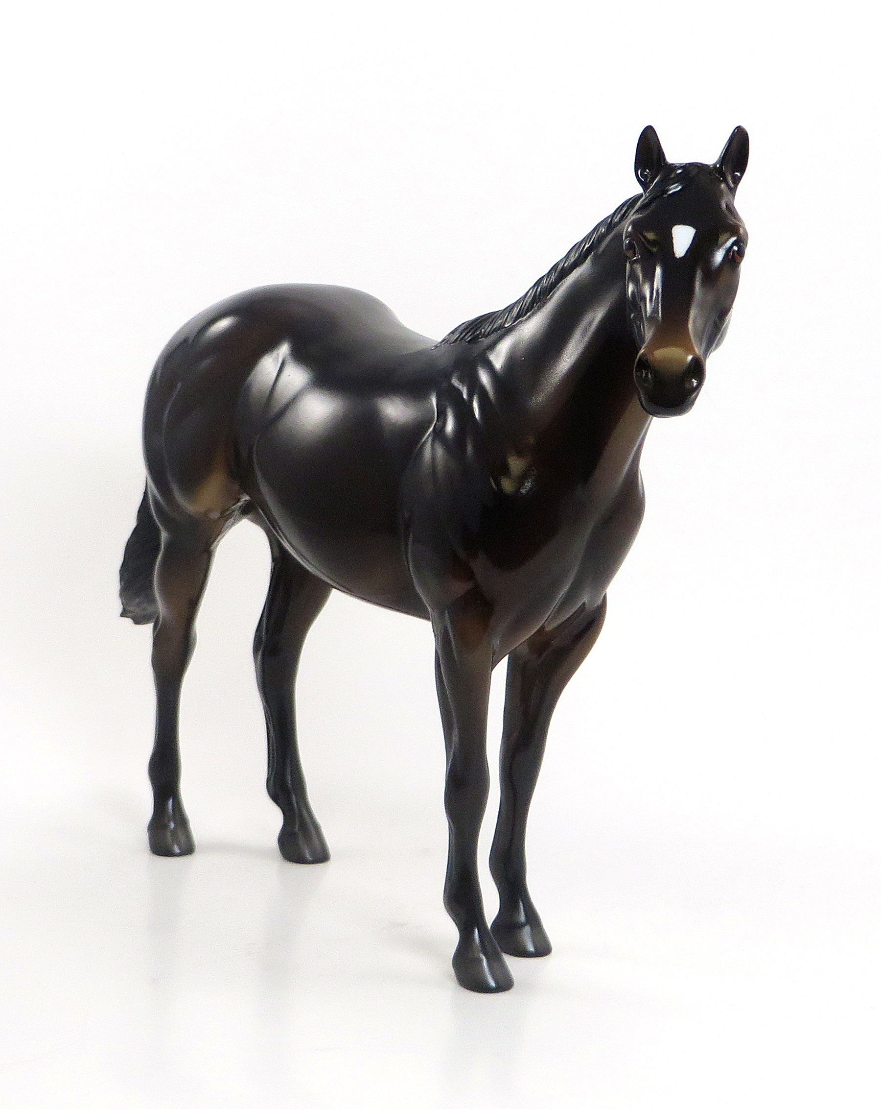 HANCOCK - OOAK Seal Bay Stock Horse 7/23