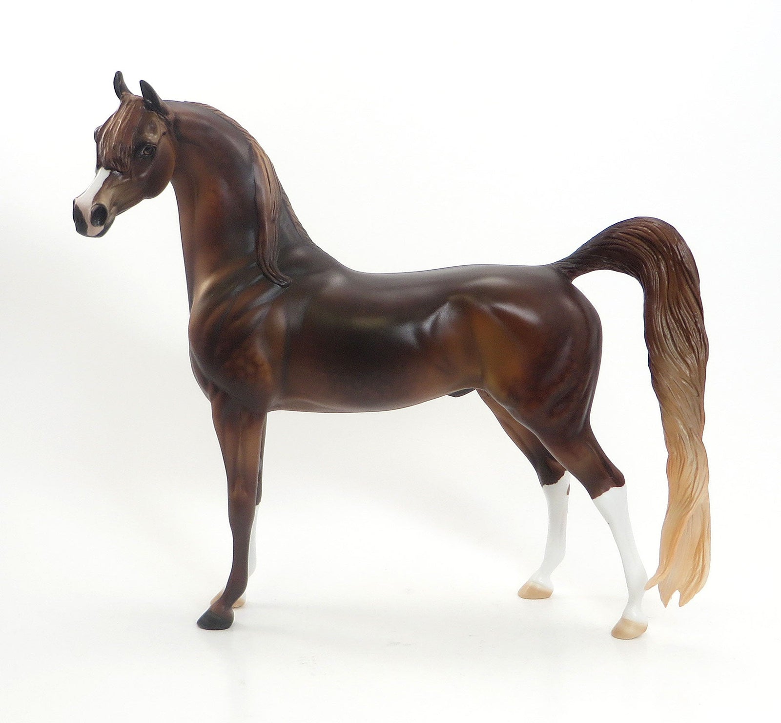TARZAN - LE4 EQ 2015 Dark Dappled Chestnut Arabian 7/23