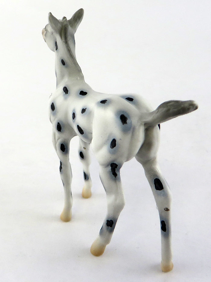 HOT GOSSIP~LE-4 APPALOOSA FOAL CHIPS