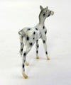HOT GOSSIP~LE-4 APPALOOSA FOAL CHIPS