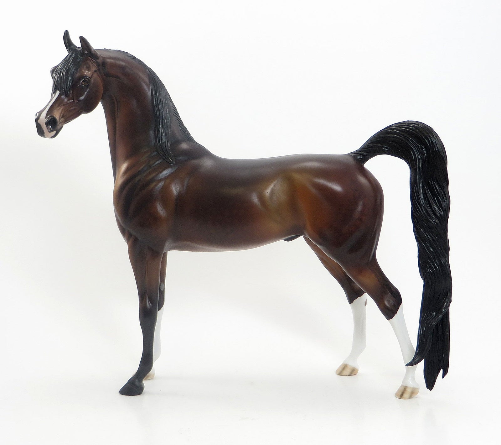 CAPPUCCINO COWBOY - LE5 EQ 2015 Dapple Bay Arabian 7/23