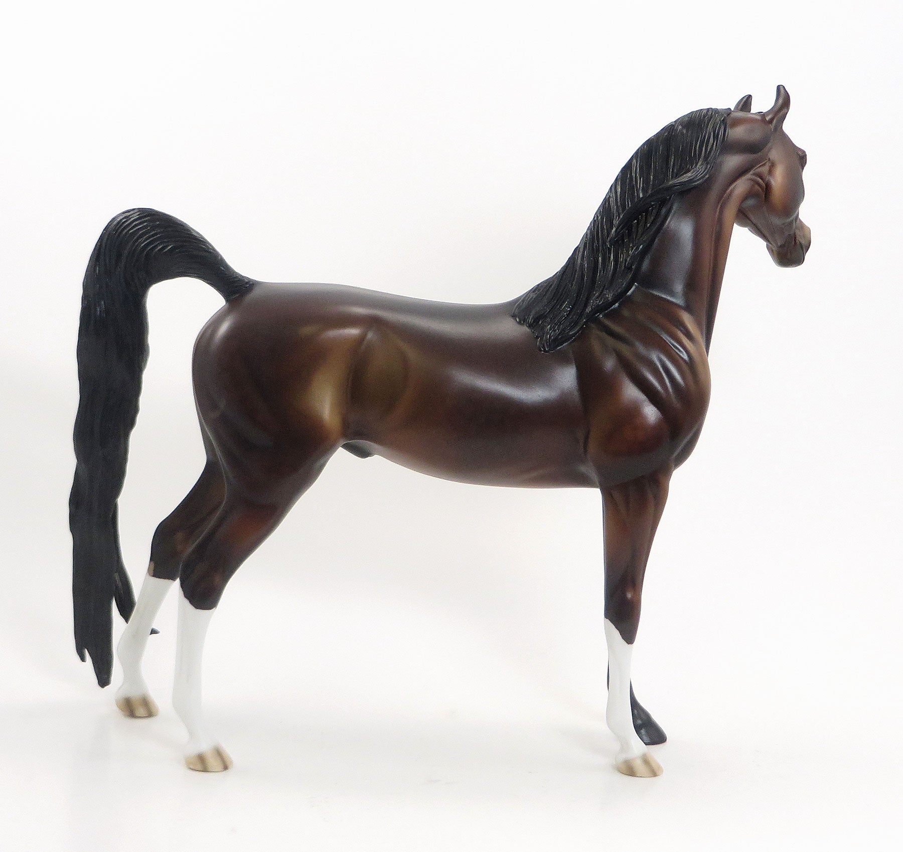 CAPPUCCINO COWBOY - LE5 EQ 2015 Dapple Bay Arabian 7/23