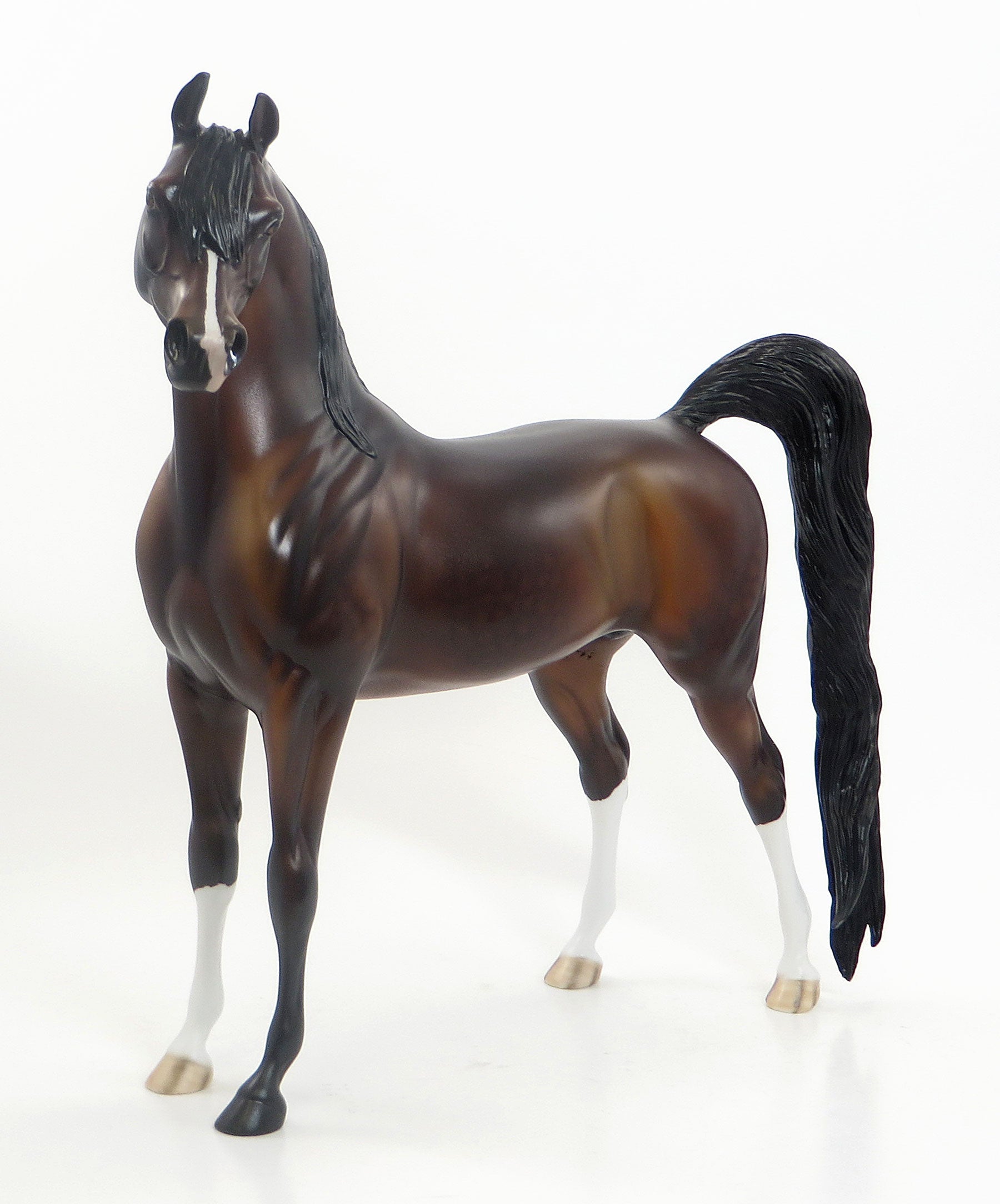 CAPPUCCINO COWBOY - LE5 EQ 2015 Dapple Bay Arabian 7/23