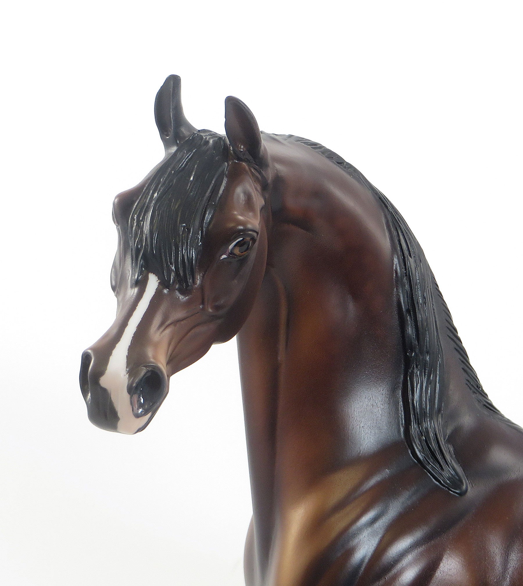 CAPPUCCINO COWBOY - LE5 EQ 2015 Dapple Bay Arabian 7/23