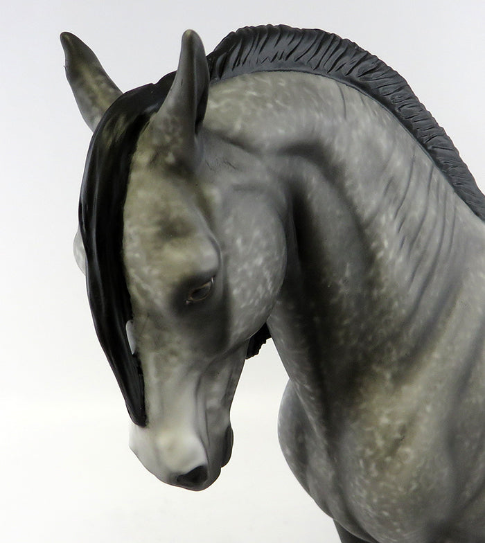 RICCO-OOAK DAPPLE GREY W/ BLACK POINTS ANDALUSIAN MODEL HORSE BY ALLEN KATT 10/12/16