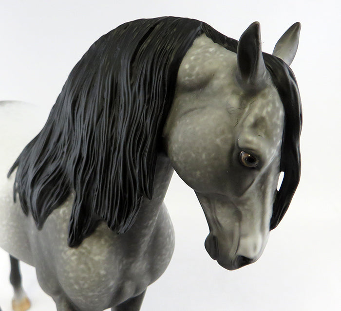 RICCO-OOAK DAPPLE GREY W/ BLACK POINTS ANDALUSIAN MODEL HORSE BY ALLEN KATT 10/12/16