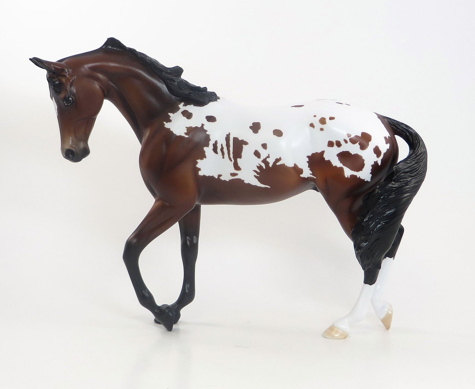THAT ONE - LE7  Bay Appaloosa Thoroughbred 7/23