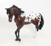 THAT ONE - LE7  Bay Appaloosa Thoroughbred 7/23