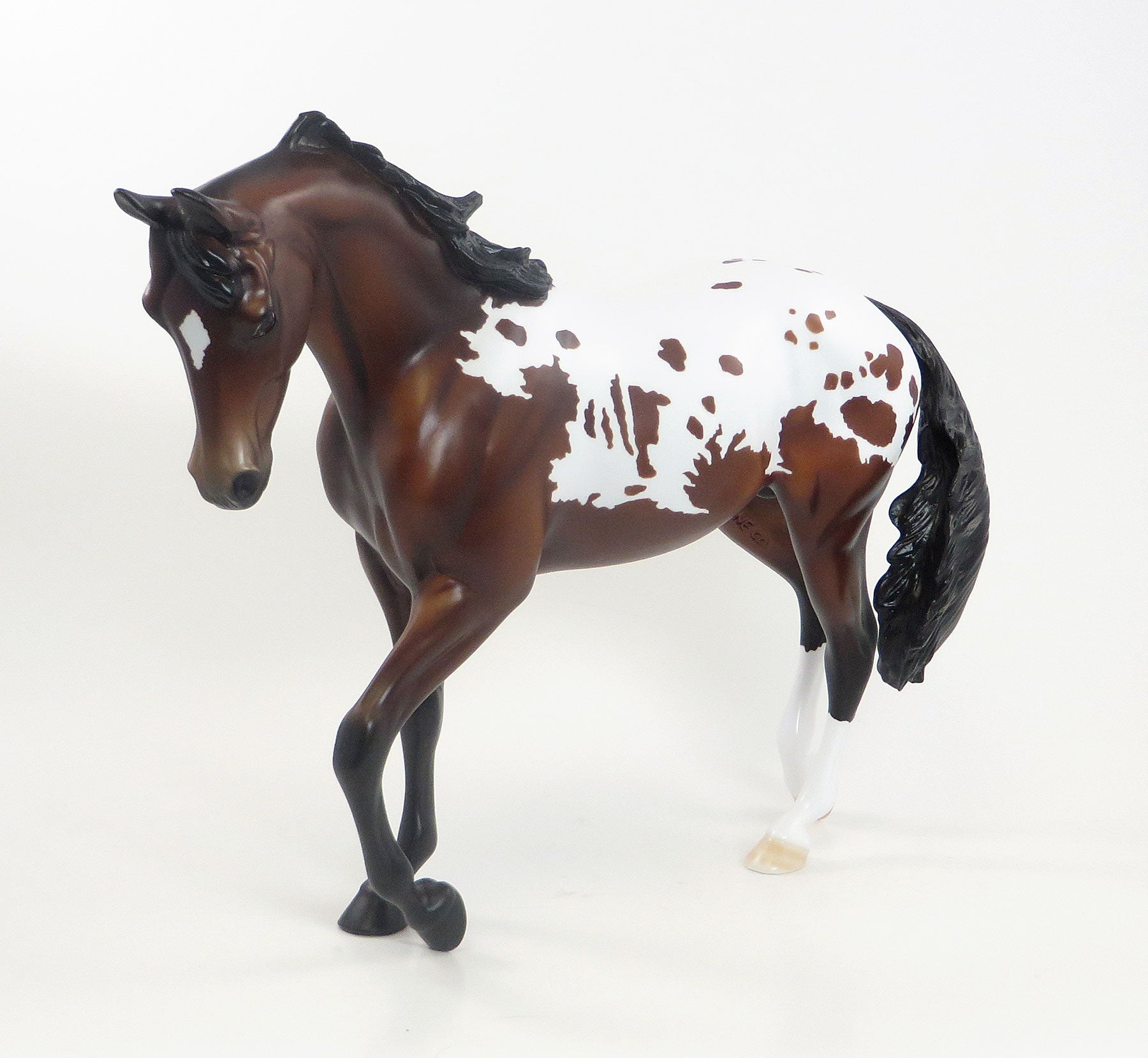 THAT ONE - LE7  Bay Appaloosa Thoroughbred 7/23