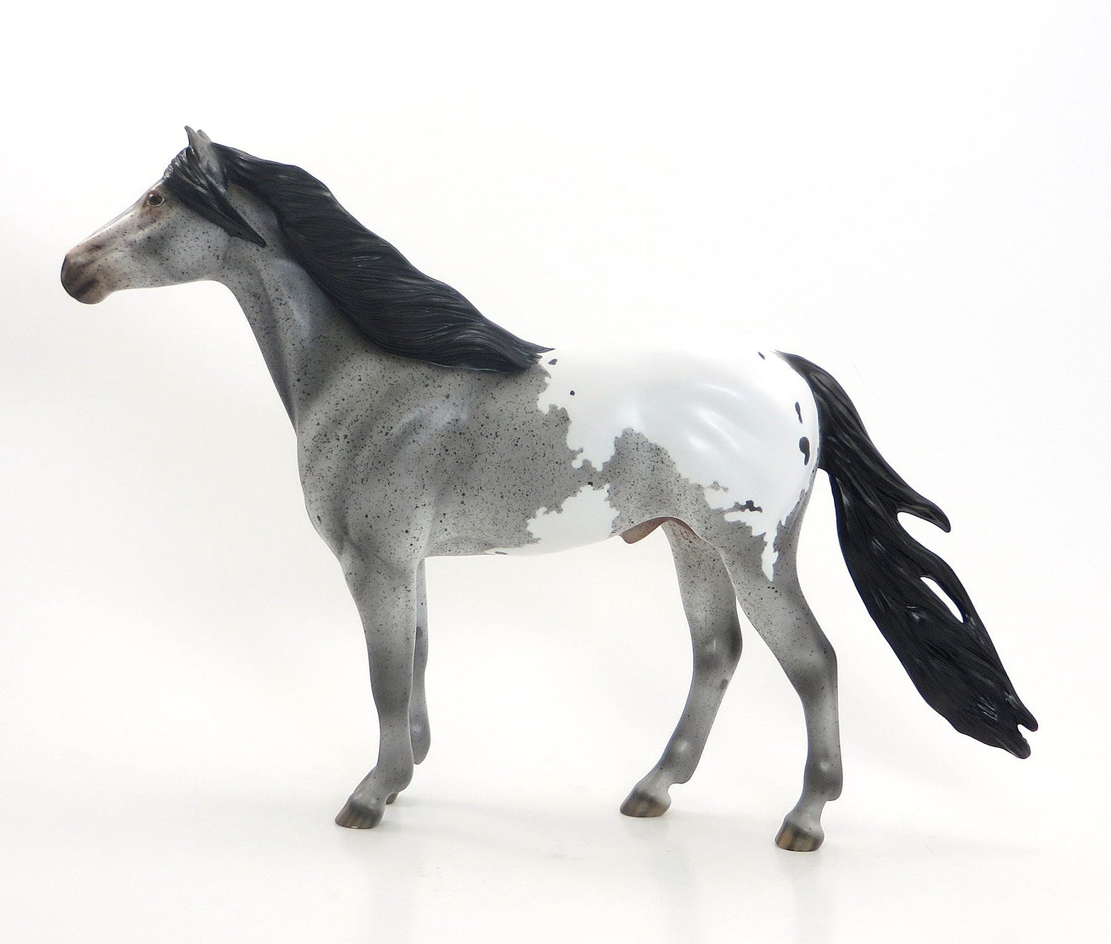 RANCHO MIRAGE - LE15 Grey Roan Appaloosa Mustang 7/23