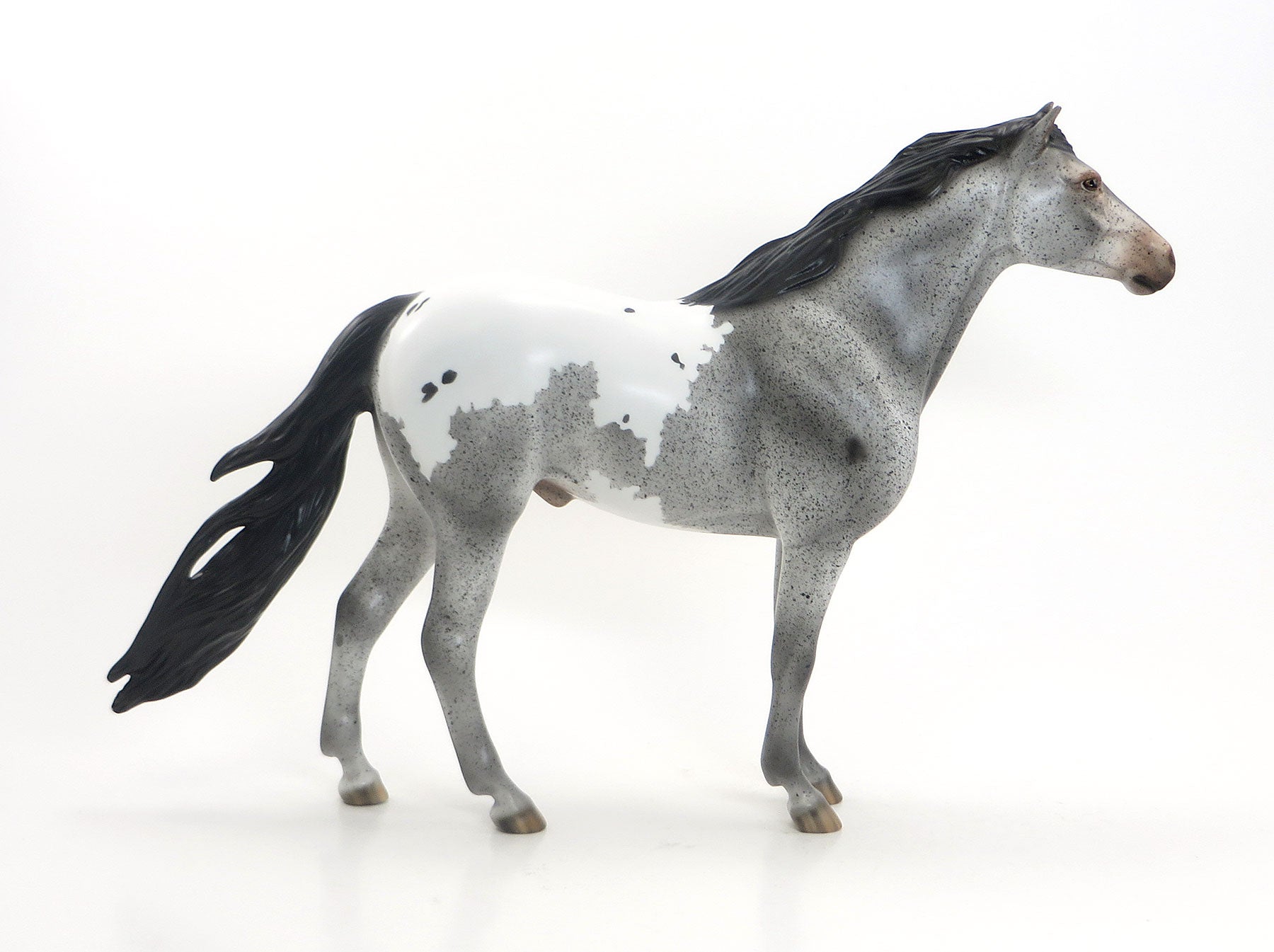 RANCHO MIRAGE - LE15 Grey Roan Appaloosa Mustang 7/23