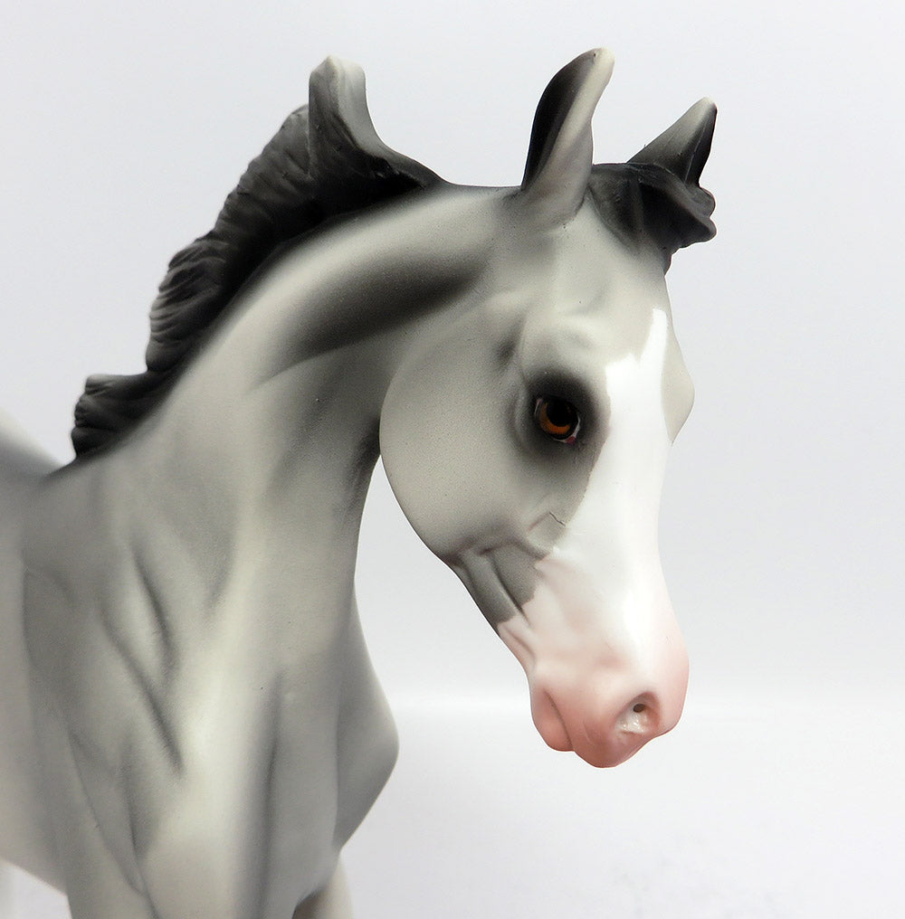 LOLA~LE-4 DAPPLE GREY PINTO YEARLING MODEL HORSE 3/22