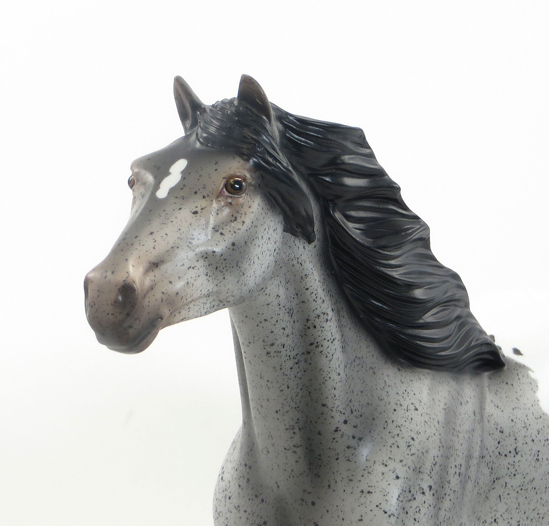 RANCHO MIRAGE - LE15 Grey Roan Appaloosa Mustang 7/23