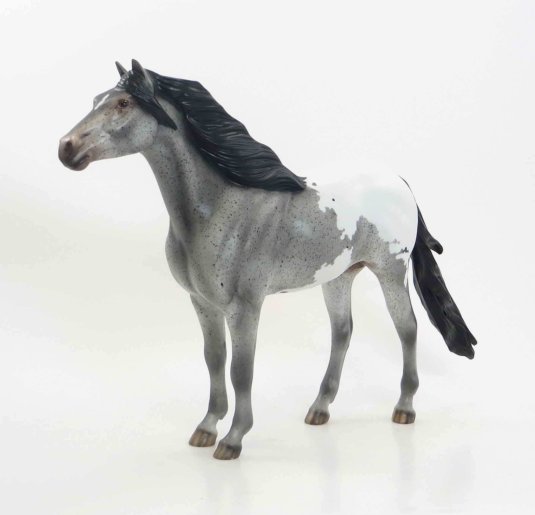 RANCHO MIRAGE - LE15 Grey Roan Appaloosa Mustang 7/23