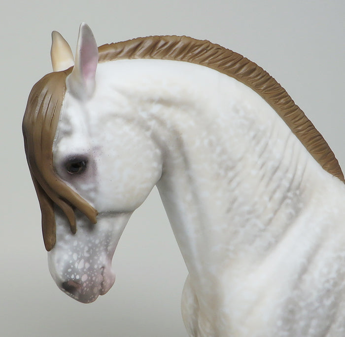 INDUS-OOAK ANDALUSIAN STALLION MODEL HORSE 5/13