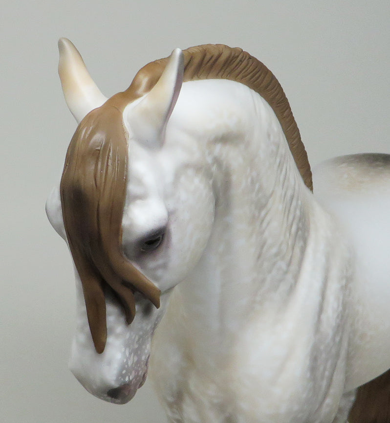 INDUS-OOAK ANDALUSIAN STALLION MODEL HORSE 5/13
