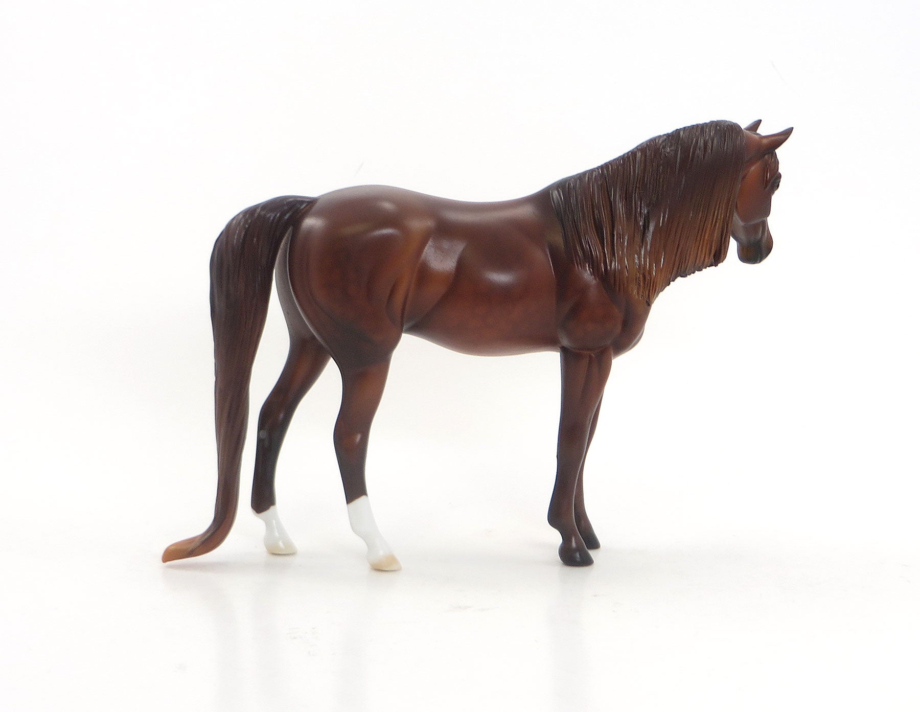 HOT GOSSIP - LE11 Dark Chestnut Pebbles Arabian 7/23