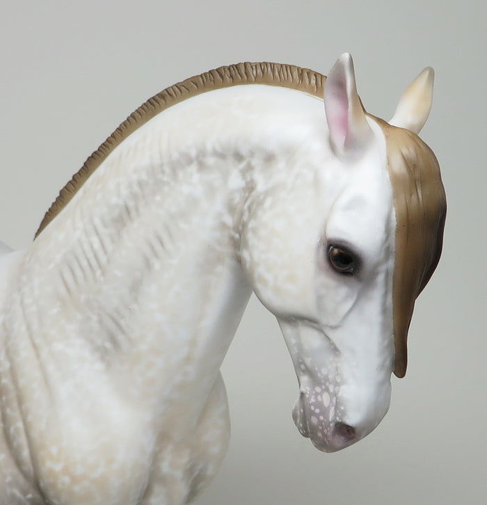 INDUS-OOAK ANDALUSIAN STALLION MODEL HORSE 5/13