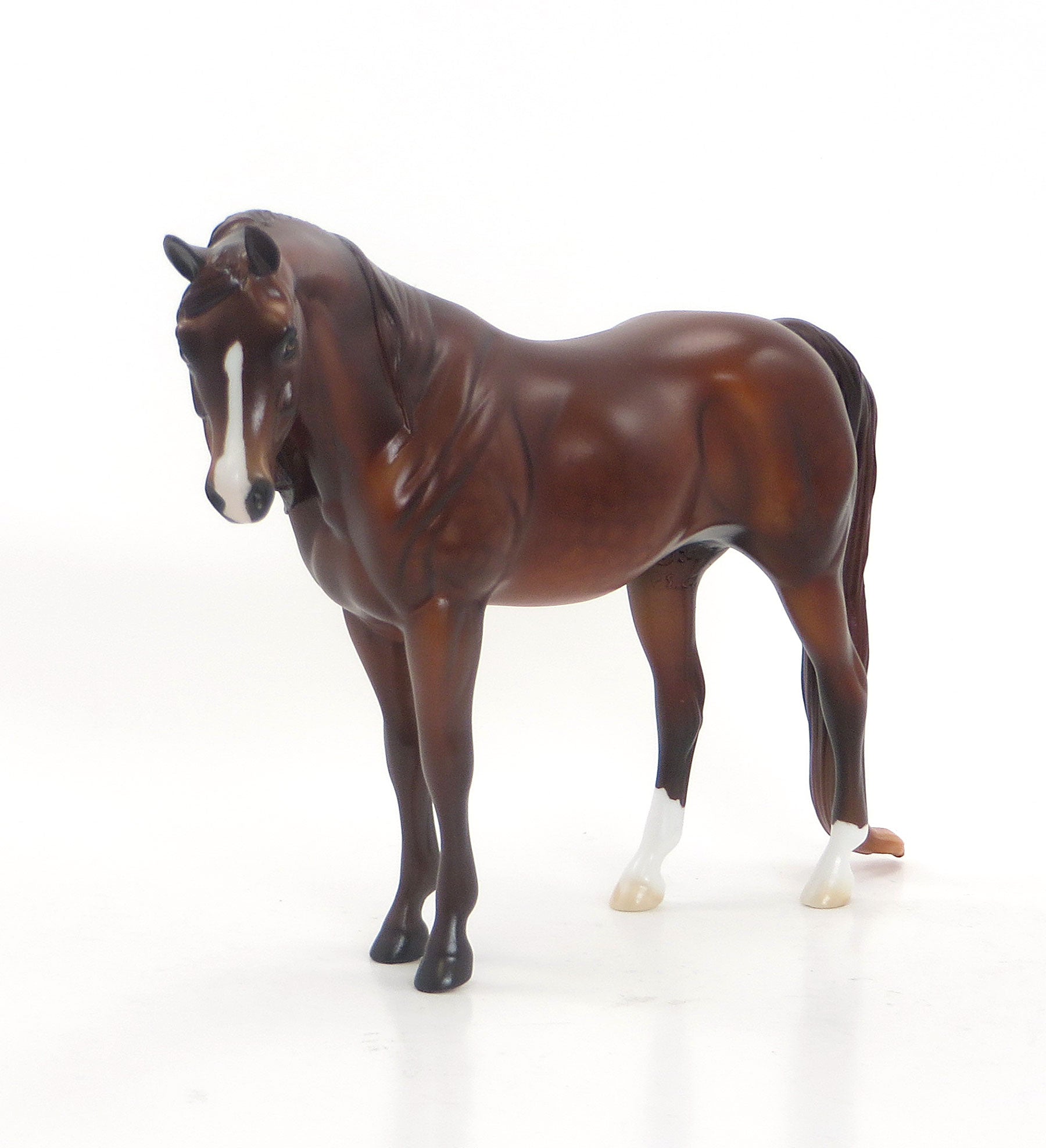 HOT GOSSIP - LE11 Dark Chestnut Pebbles Arabian 7/23