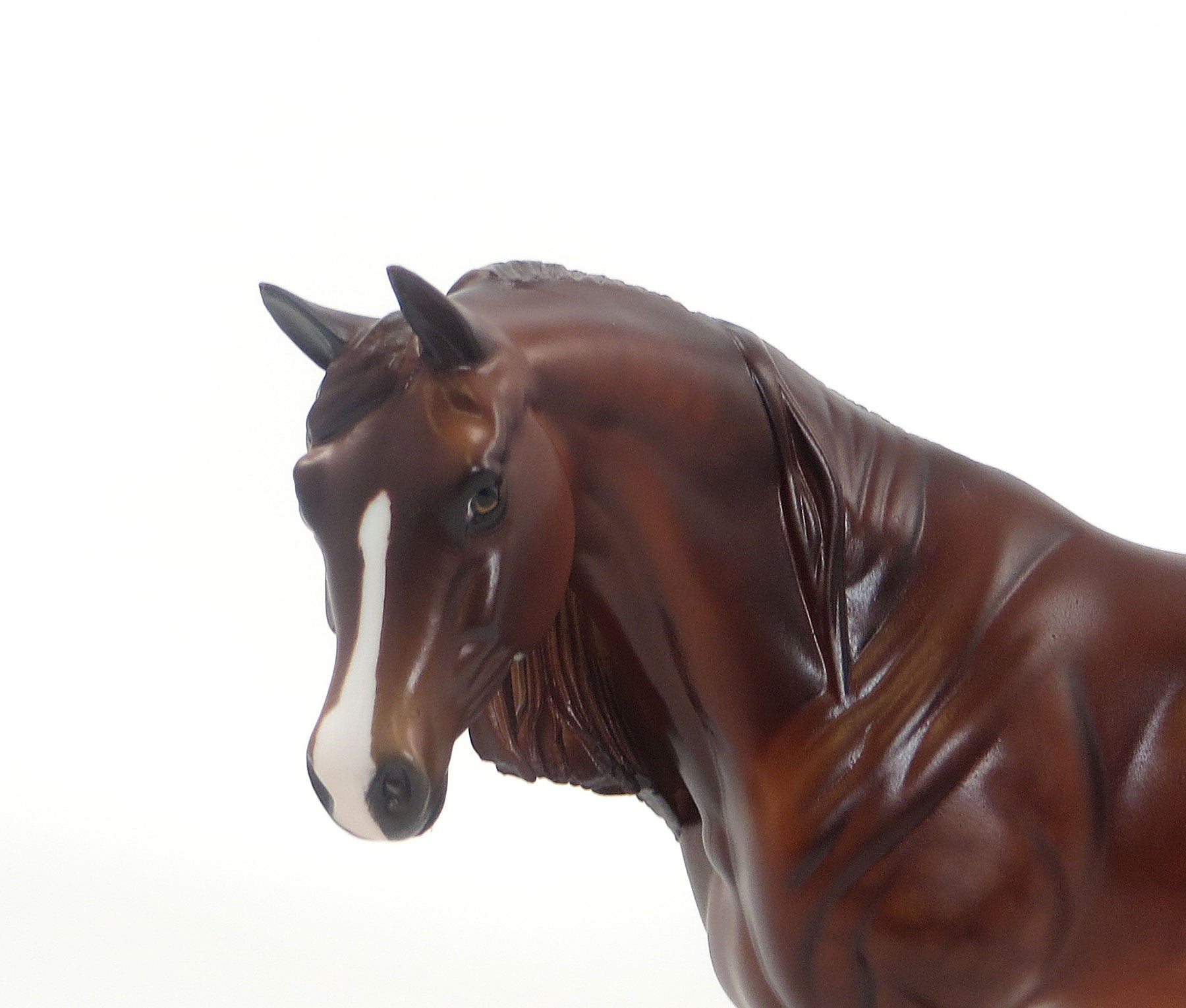 HOT GOSSIP - LE11 Dark Chestnut Pebbles Arabian 7/23