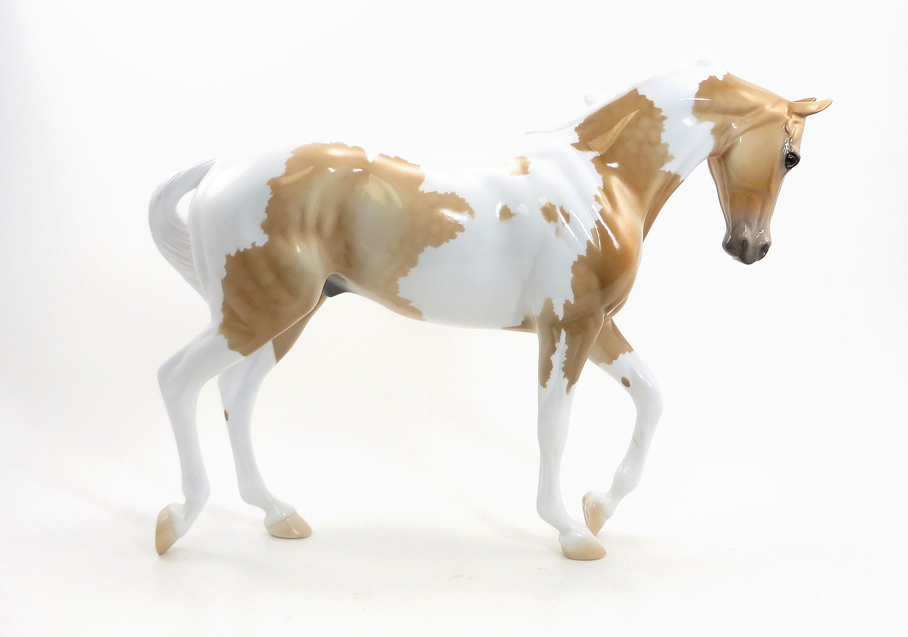 DANCE AWAY - LE4  EQ 2015 Dappled Palomino Thoroughbred Pinto 7/23