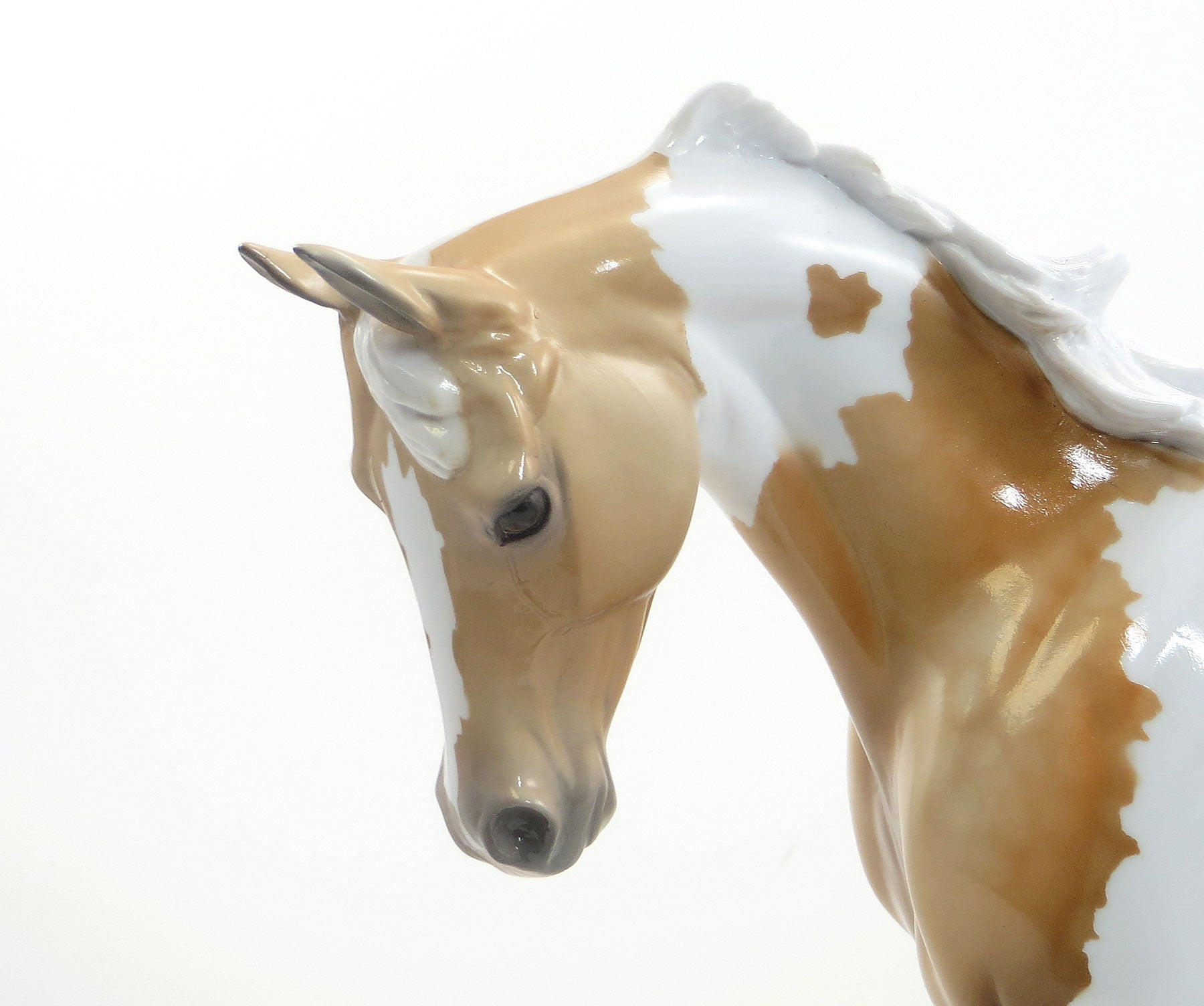 DANCE AWAY - LE4  EQ 2015 Dappled Palomino Thoroughbred Pinto 7/23