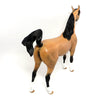 BUCKSKIN