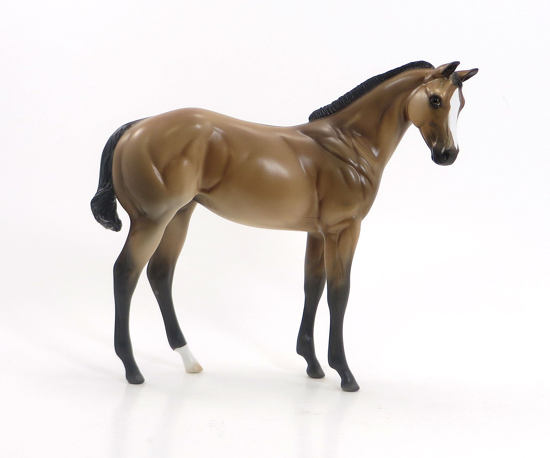 A LICK AND A PROMISE - Sooty Buckskin Dun Weanling Model Horse - LE5 - EQ 2015 - 7/23