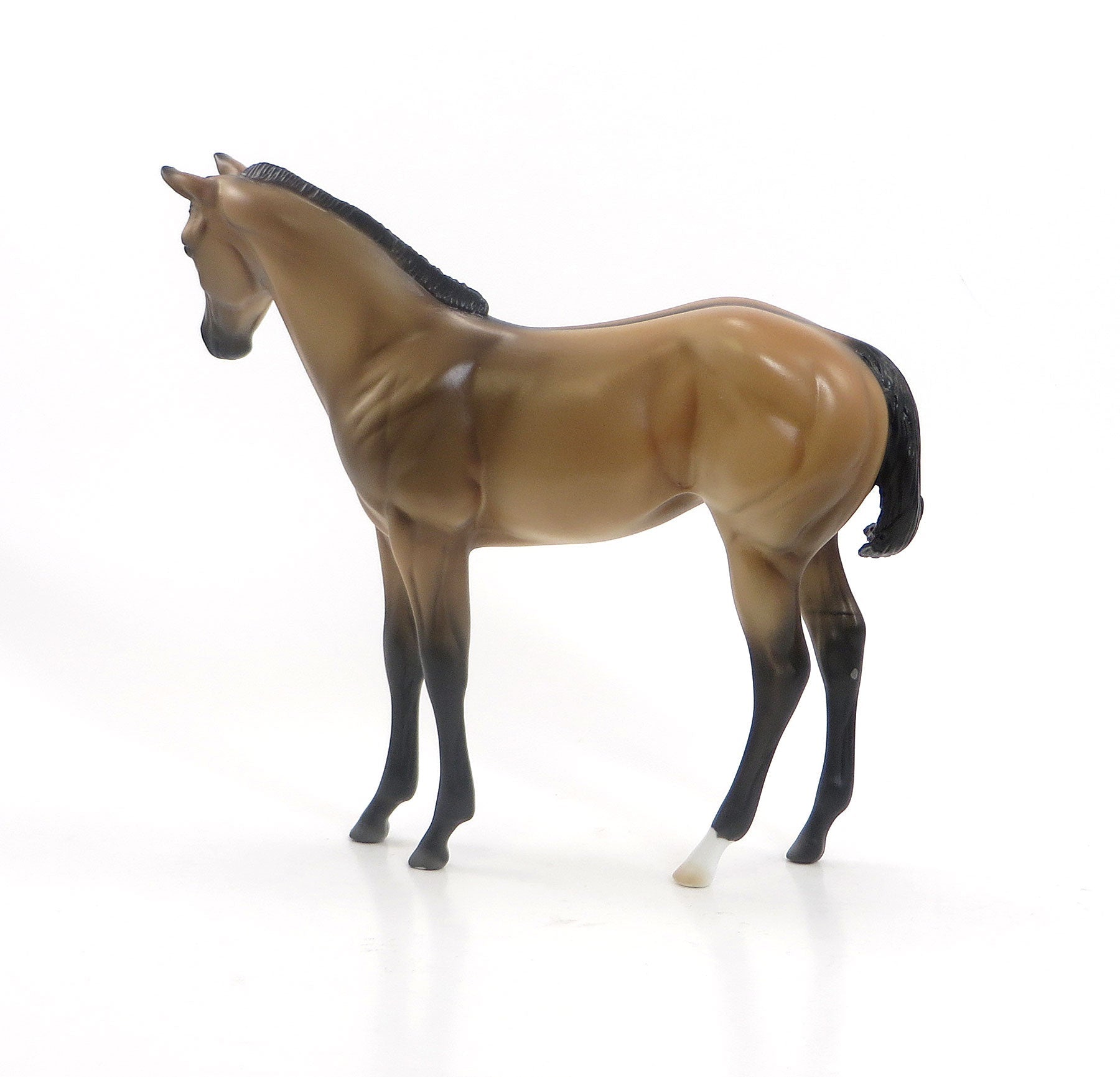 A LICK AND A PROMISE - Sooty Buckskin Dun Weanling Model Horse - LE5 - EQ 2015 - 7/23