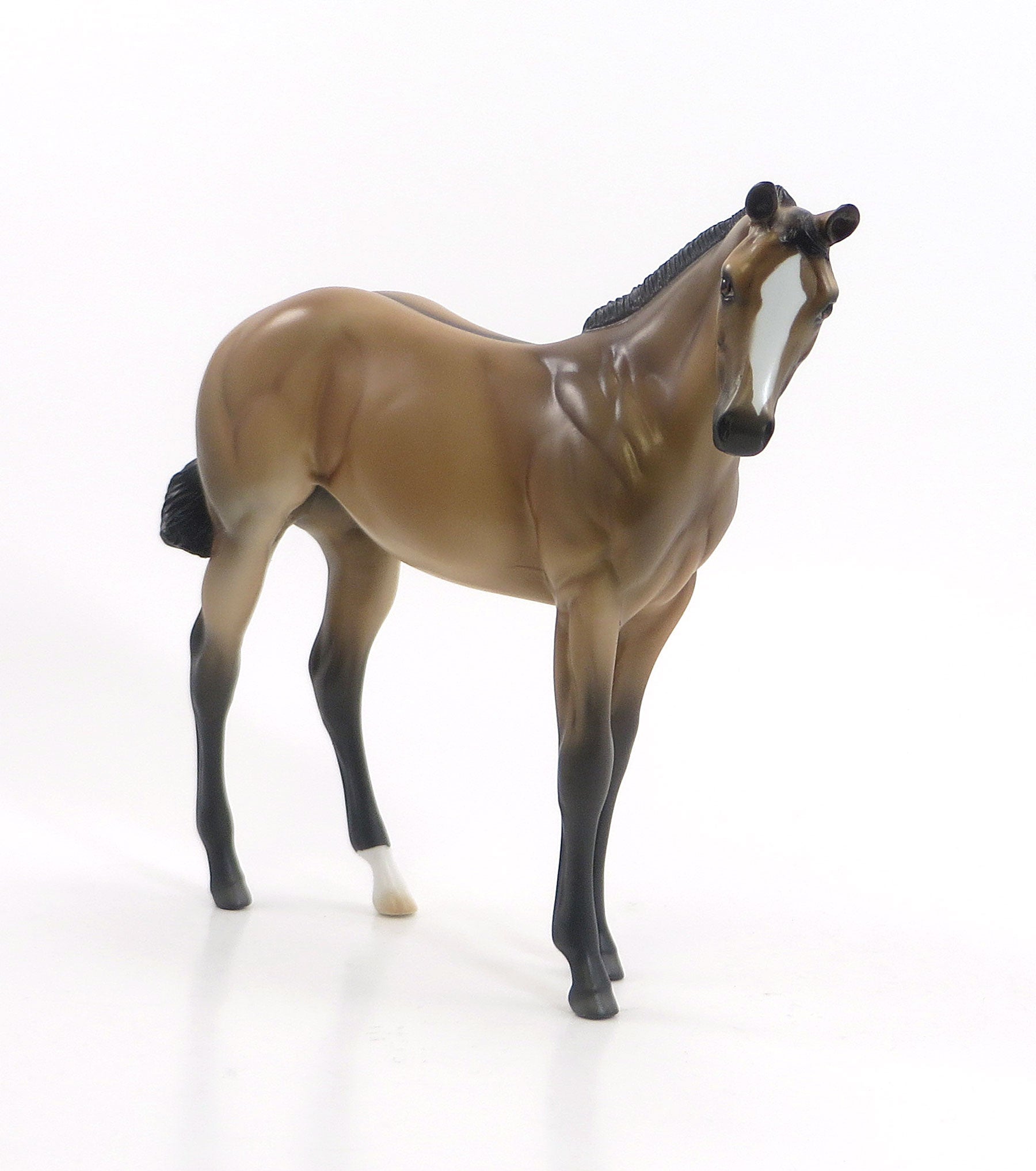 A LICK AND A PROMISE - Sooty Buckskin Dun Weanling Model Horse - LE5 - EQ 2015 - 7/23