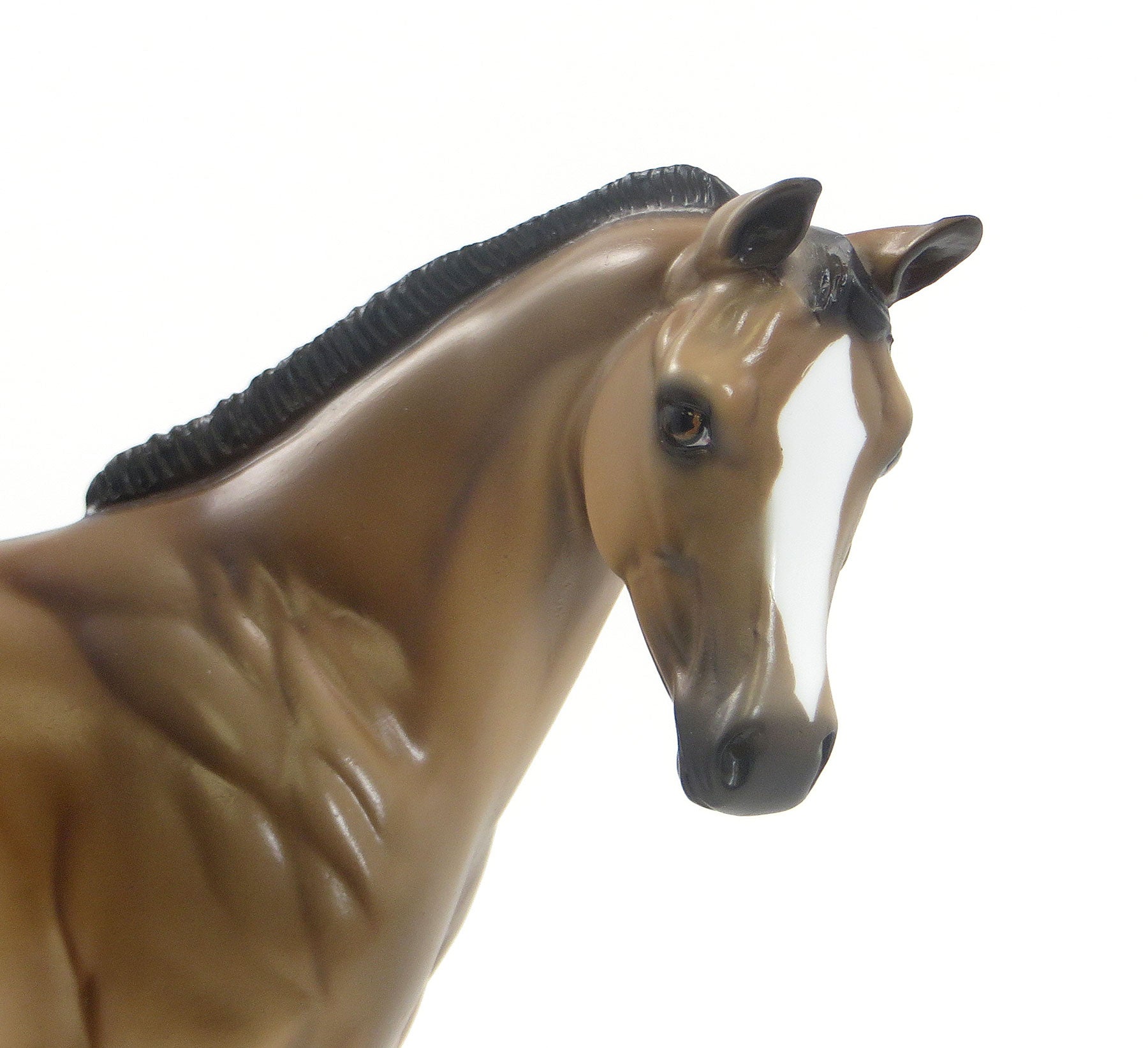 A LICK AND A PROMISE - Sooty Buckskin Dun Weanling Model Horse - LE5 - EQ 2015 - 7/23