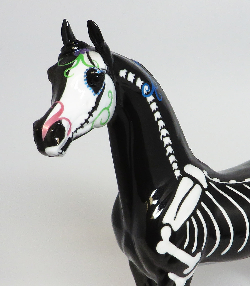 SKELETON HORSE