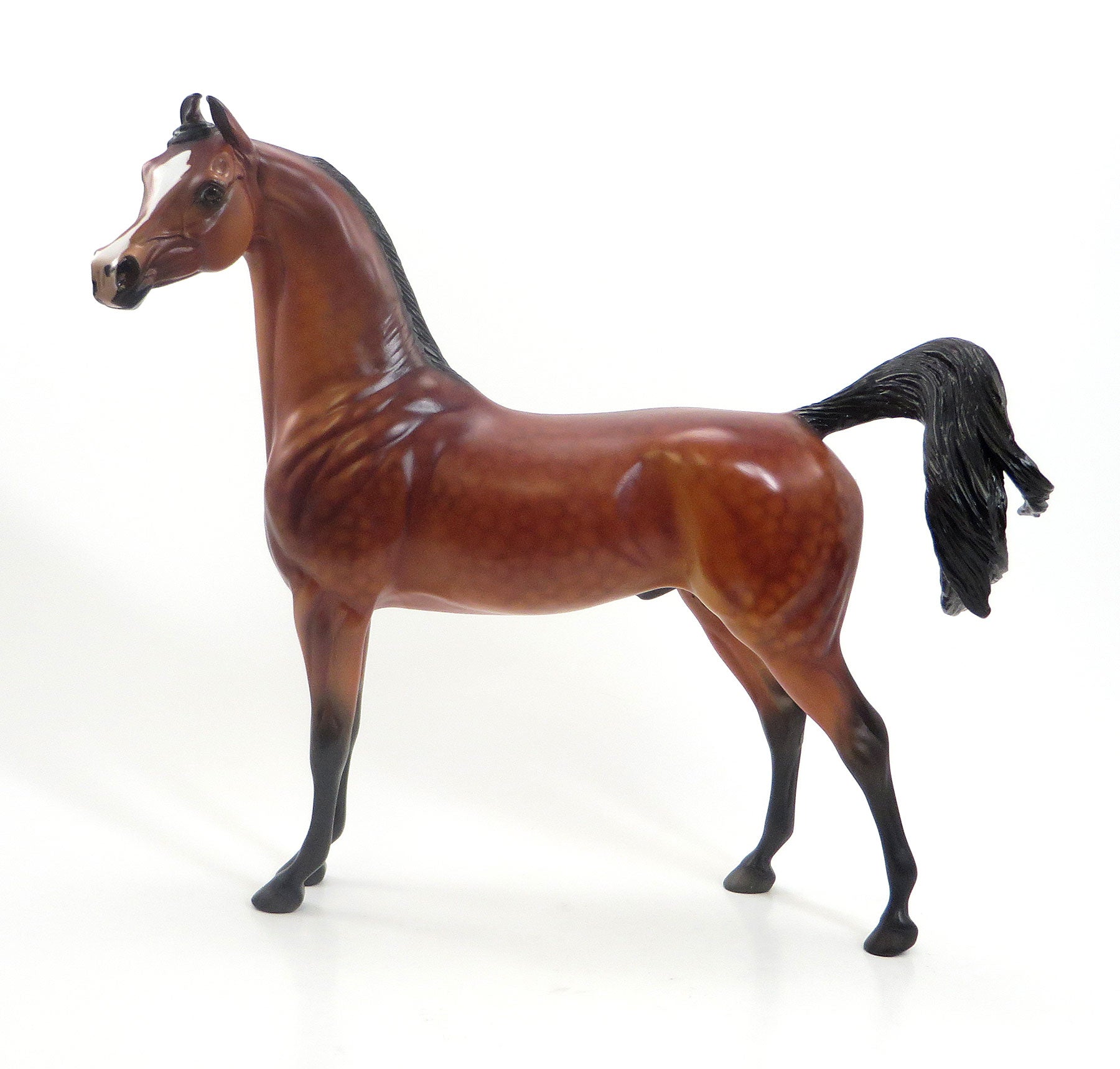 Glenwood Hot Springs - OOAK Dappled Cherry Bay Marwari Model Horse - 7/24