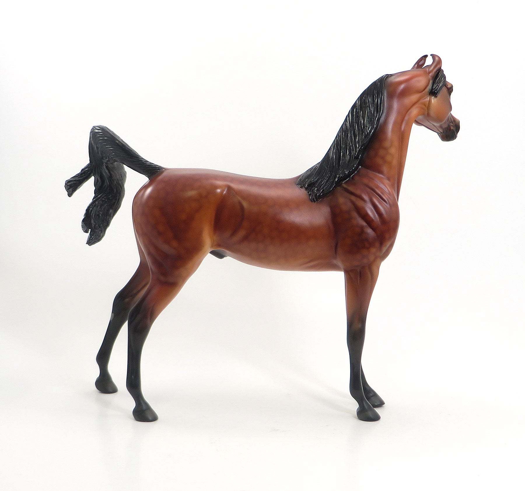 Glenwood Hot Springs - OOAK Dappled Cherry Bay Marwari Model Horse - 7/24