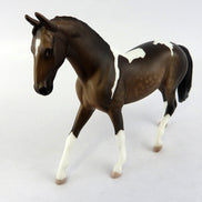 warmblood