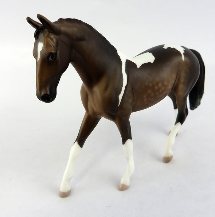 warmblood