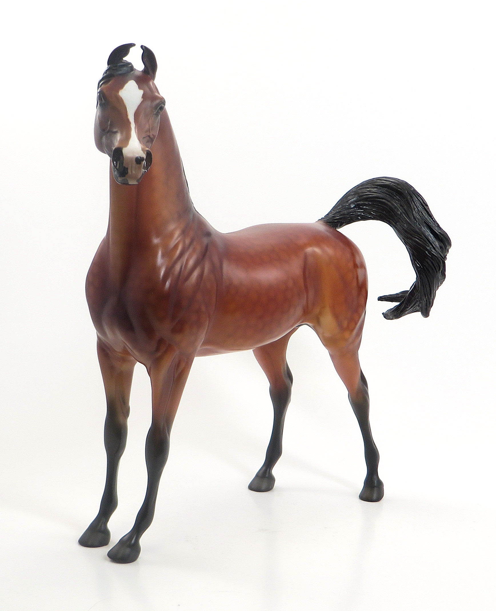 Glenwood Hot Springs - OOAK Dappled Cherry Bay Marwari Model Horse - 7/24