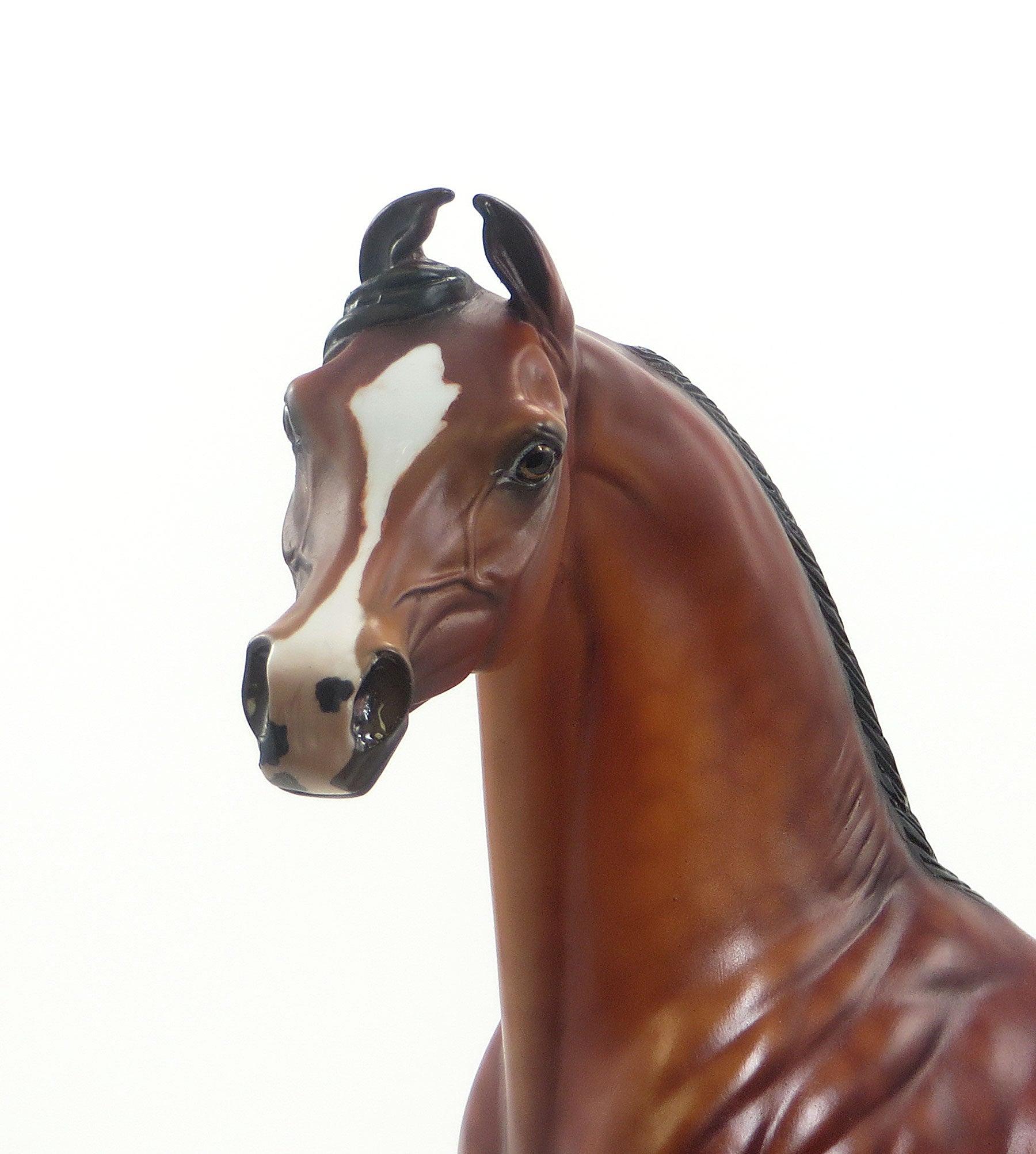 Glenwood Hot Springs - OOAK Dappled Cherry Bay Marwari Model Horse - 7/24