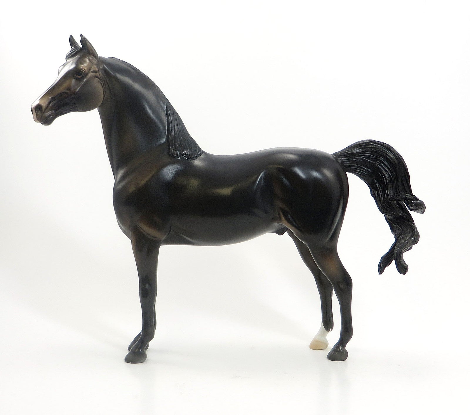 CUP OF JOE - OOAK Dark Brown Morgan Model Horse - 7/23