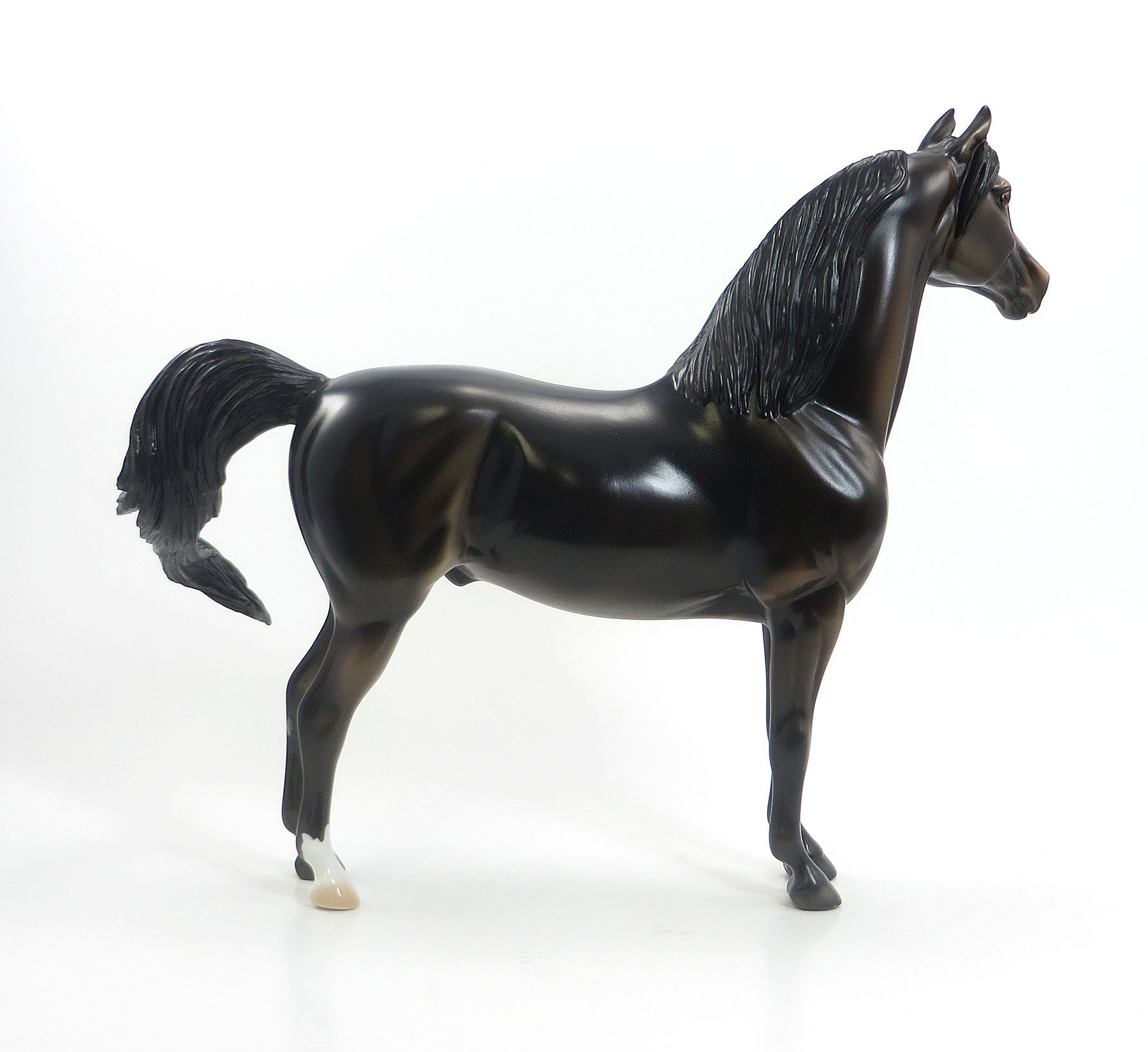 CUP OF JOE - OOAK Dark Brown Morgan Model Horse - 7/23