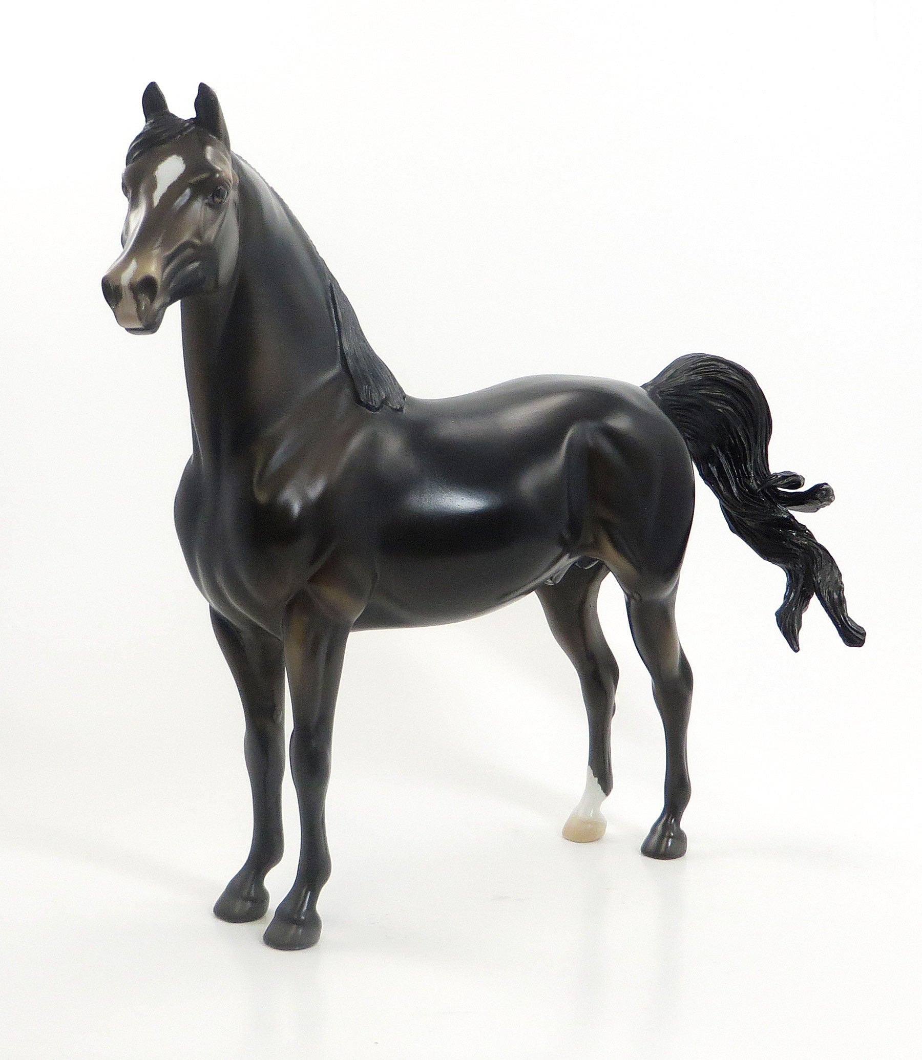 CUP OF JOE - OOAK Dark Brown Morgan Model Horse - 7/23
