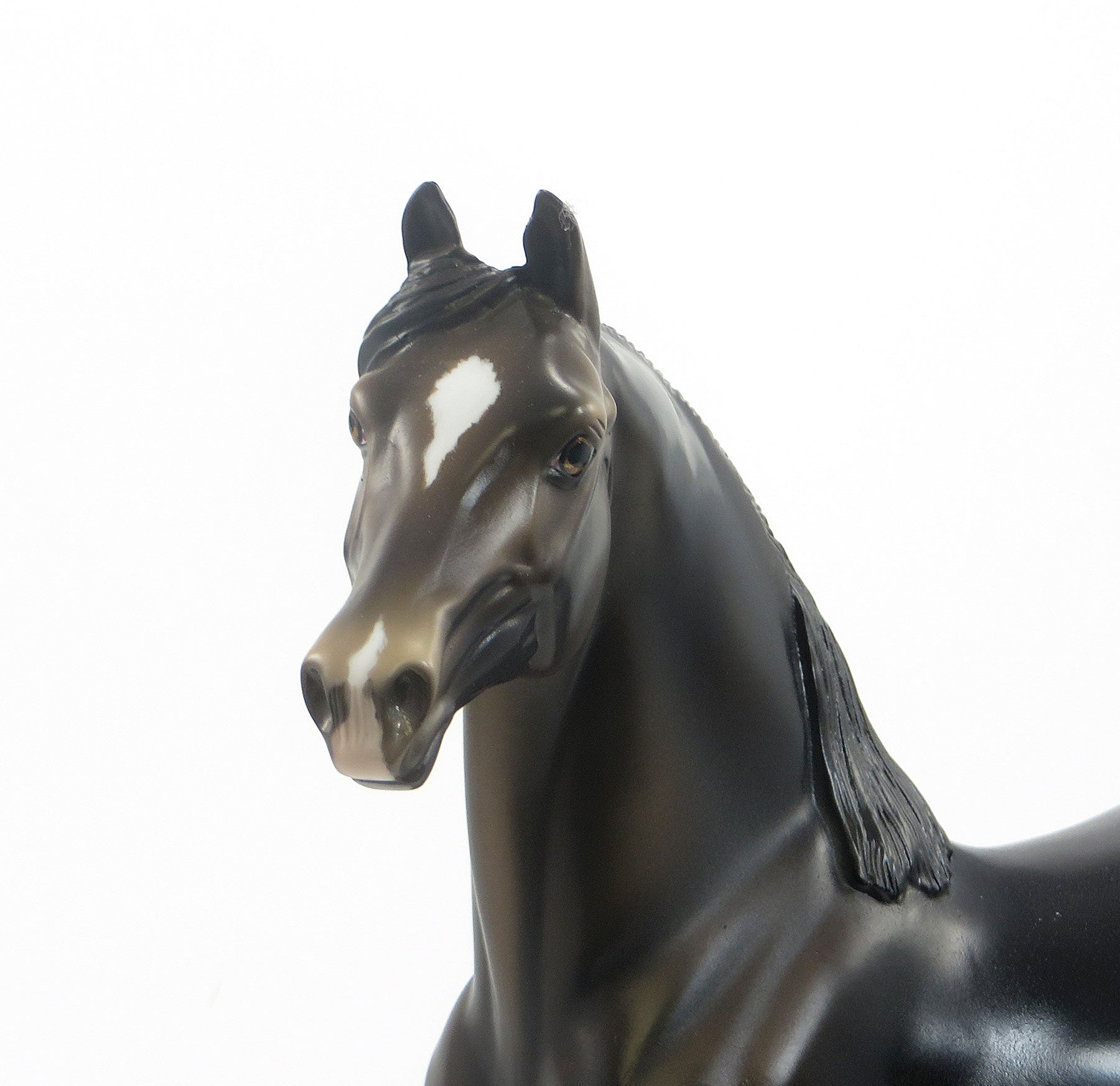 CUP OF JOE - OOAK Dark Brown Morgan Model Horse - 7/23