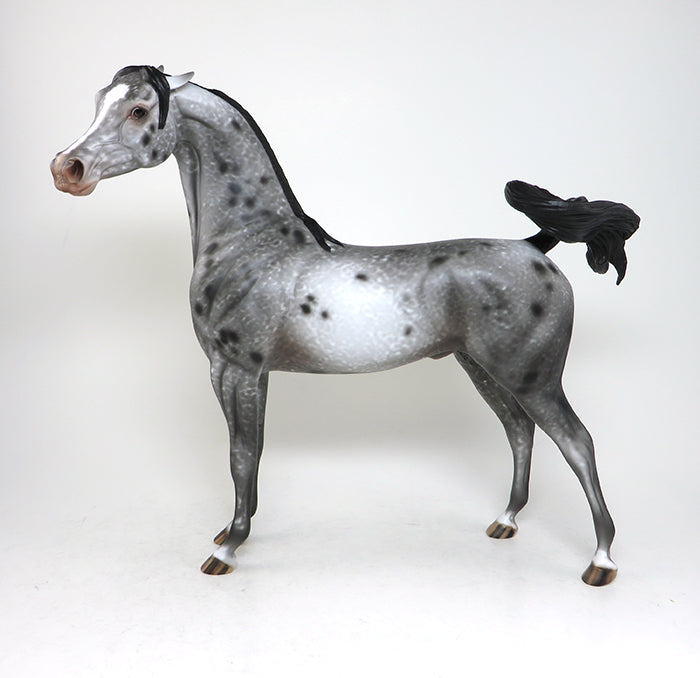 devil wears prada arabian model horse 