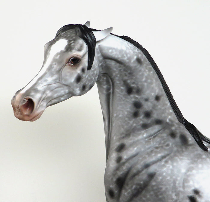 DEVIL WEARS PRADA-OOAK PINNED EAR APPALOOSA MODEL HORSE BY AL 4/26